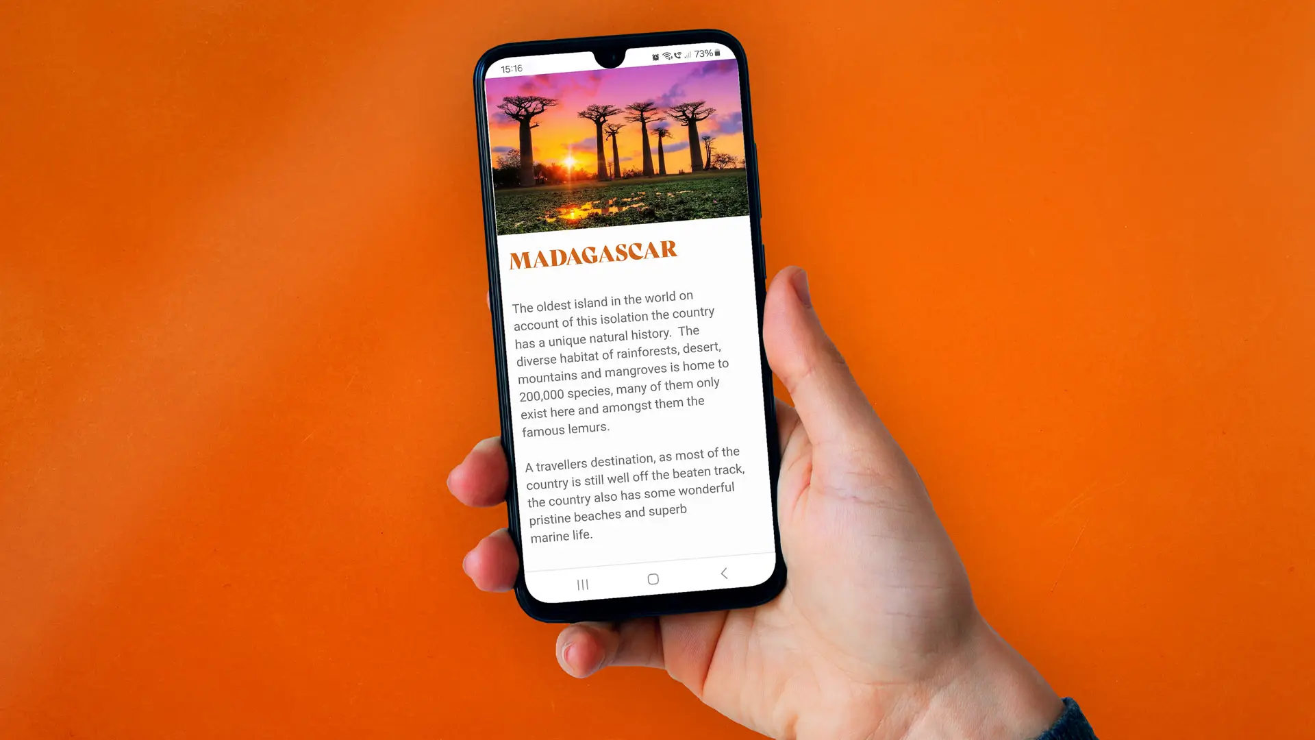 Embarque Travel Website mobile