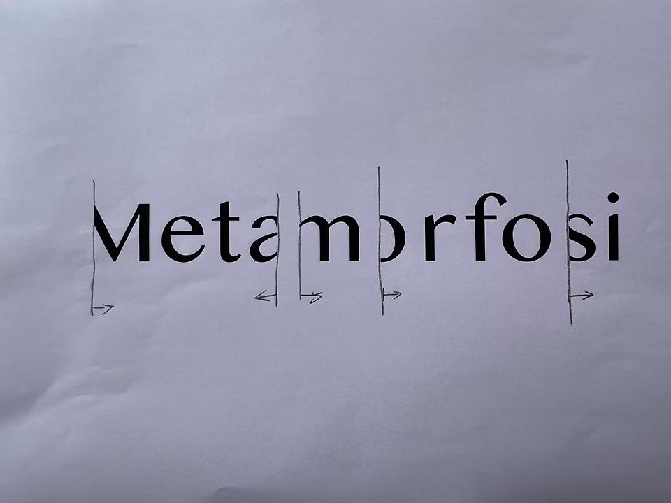 metamorfosi sketch